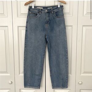 Pilcro Barrel Jeans